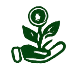 Hỗ trợ sinh hoạt hàng tháng